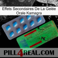 Effets Secondaires De La Gelée Orale Kamagra new03